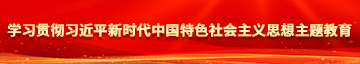 爆操骚逼粉嫩TV学习贯彻习近平新时代中国特色社会主义思想主题教育